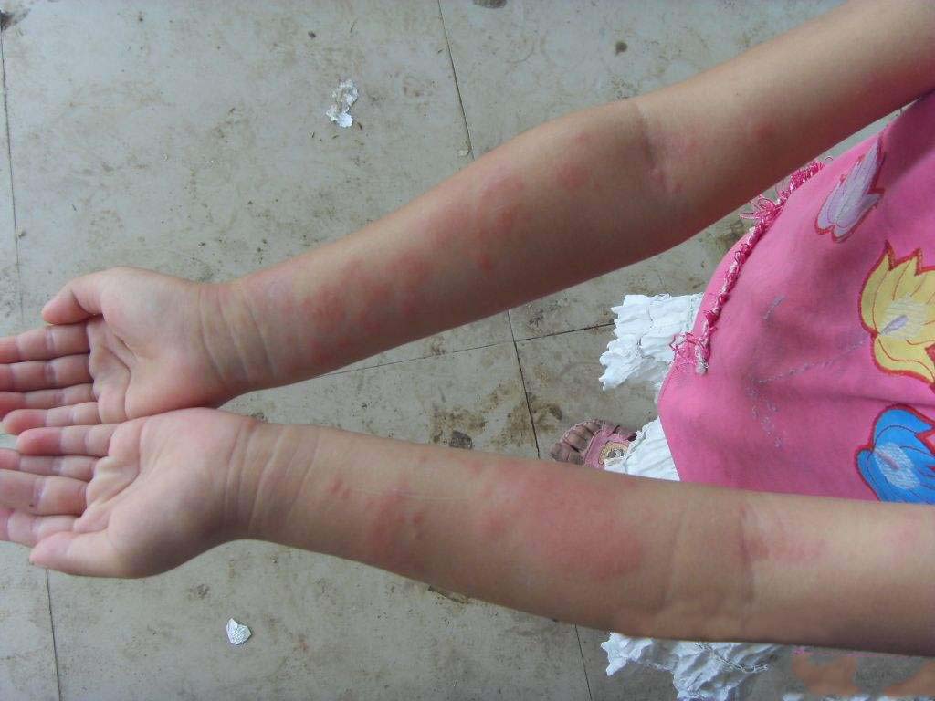 timg (2).jpg